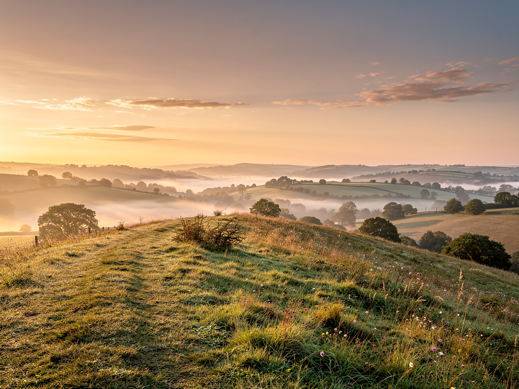 A sunrise viewed from a hilltop, warm golden light spreading across a peaceful landscape, suggesting new beginnings, hope, and the possibility of positive change ahead